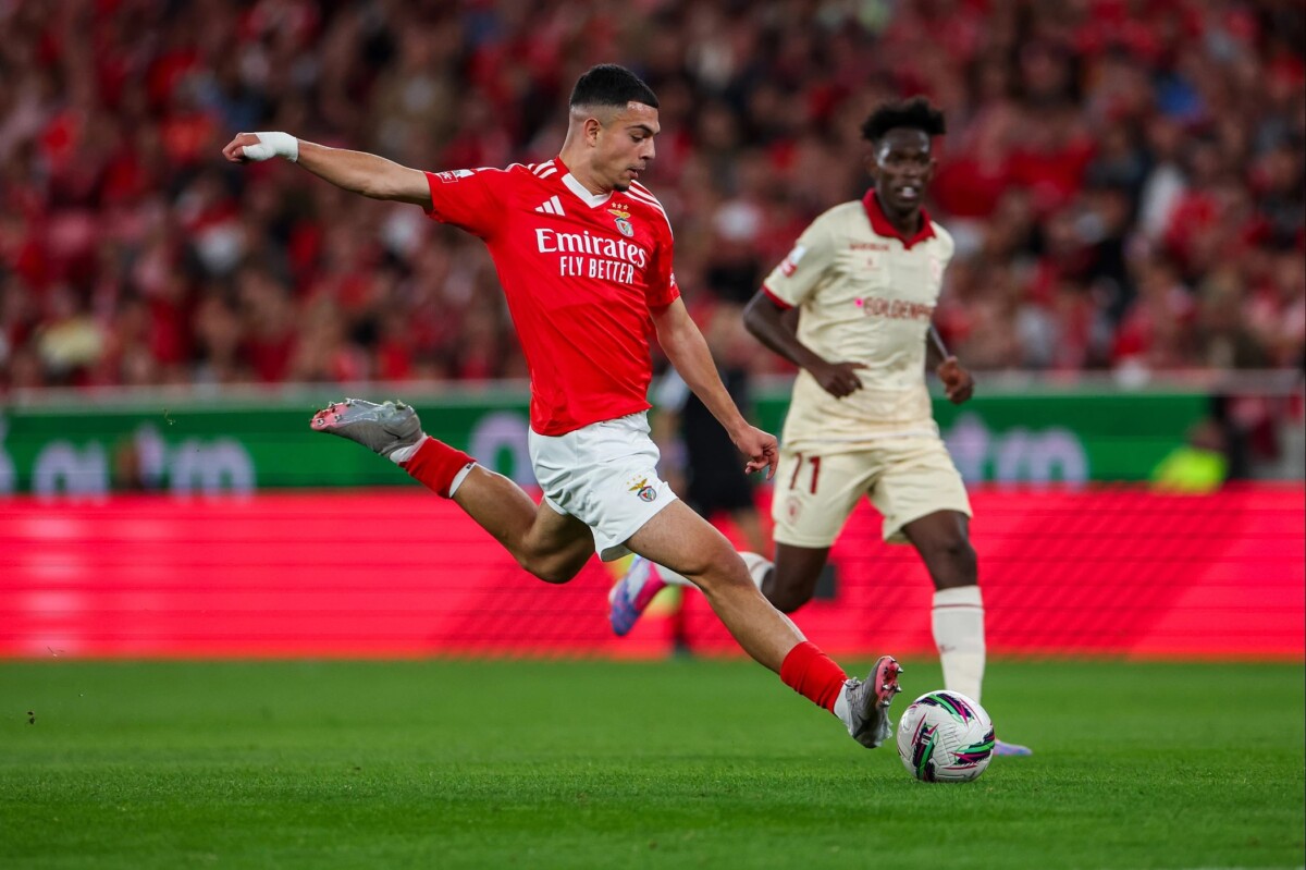 Benfica gil vicente