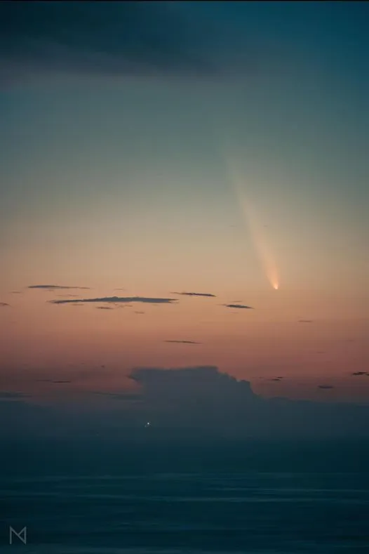 Cometa Berlengas Miguel Nascimento