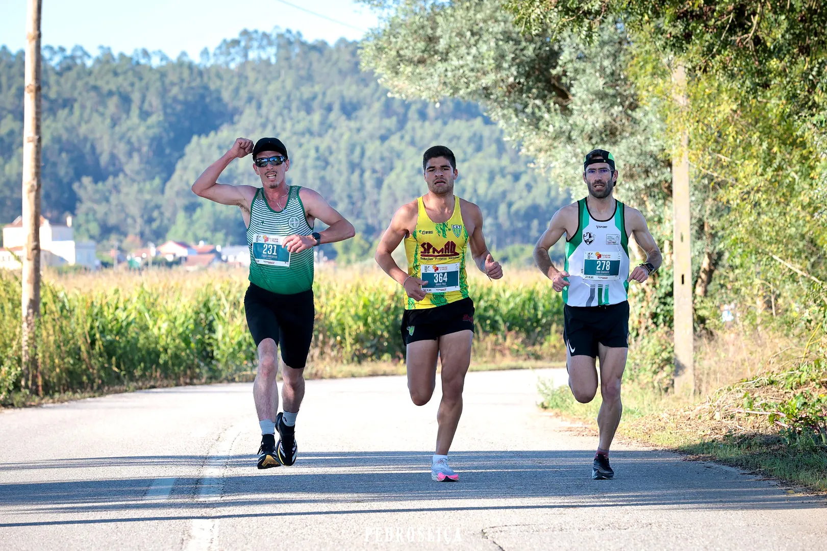 Foto meia maratona ameal