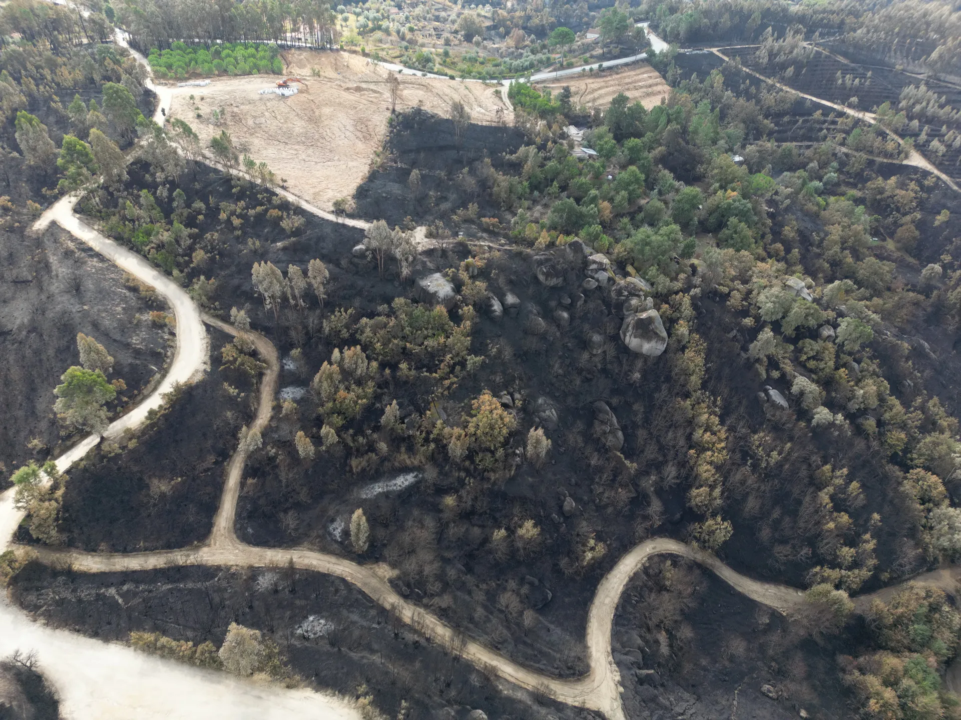 Incêndios de tábua