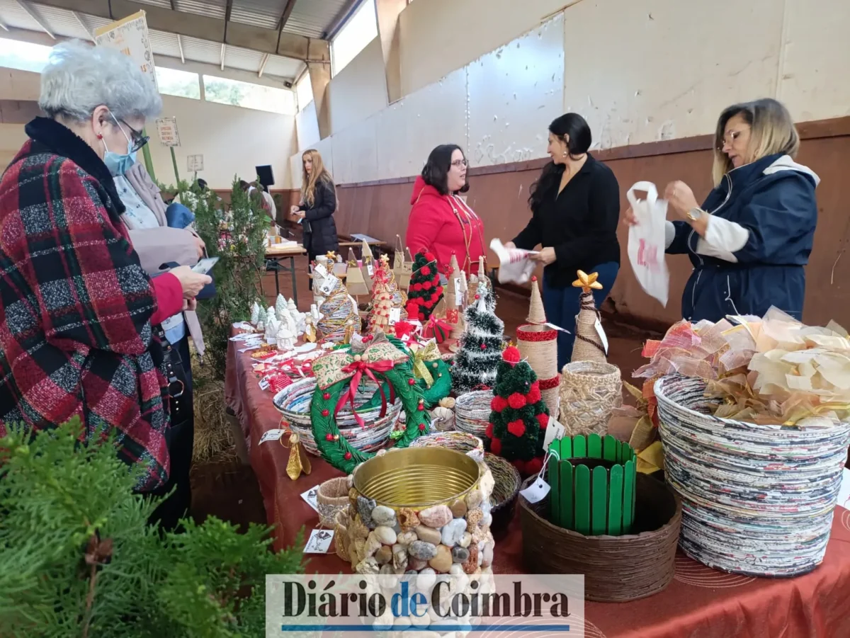 Feira Das Colheitas 15