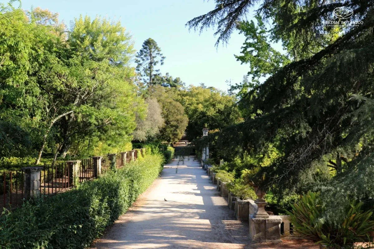 Jardim Botanico Uc