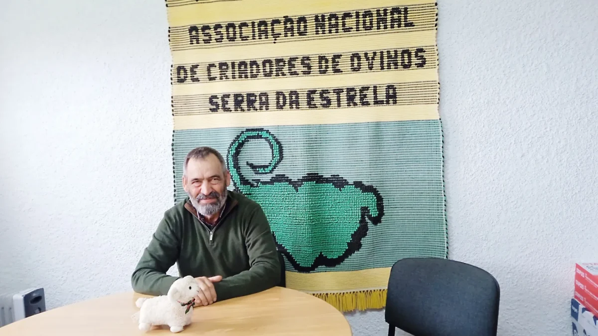 Manuel Marques Presidente Da Associação Nacional De Criadores De Ovinos Da Serra Da Estrela Ancose T