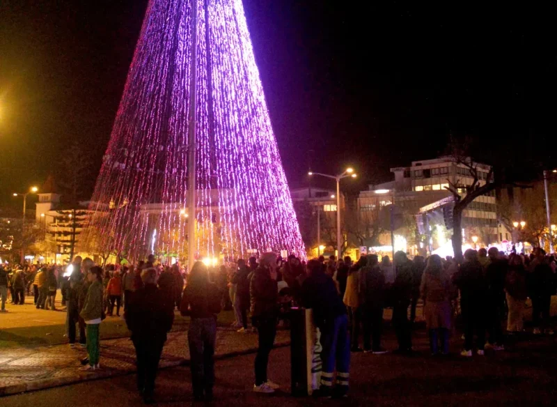 Arvore Natal Na Figueira