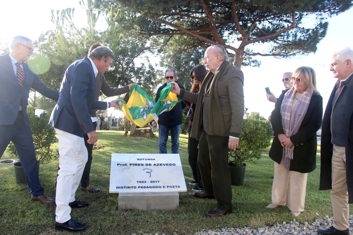 P10 Rotunda Figueira