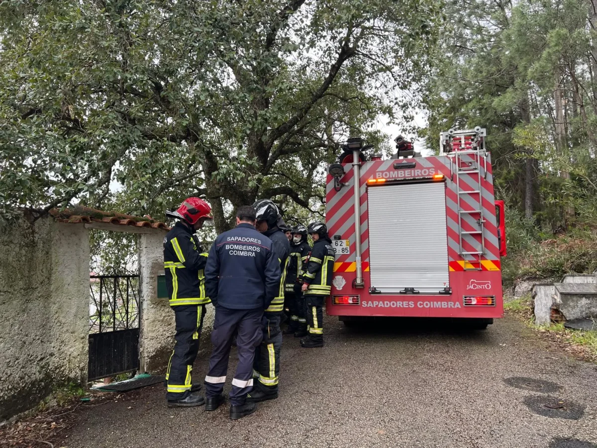 Incêndio Anexo Em Picoto Cernache