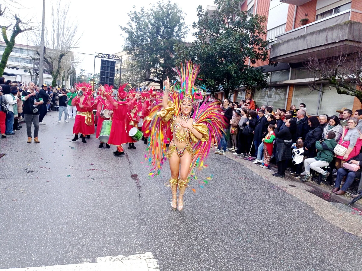 P11 Carnaval Mealhada T