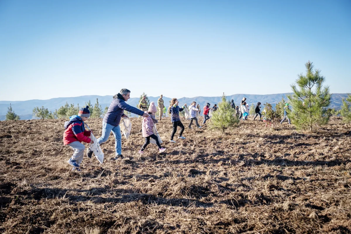 P13 Beefood Largada De Sementes Pampilhosa Da Serra 2 T