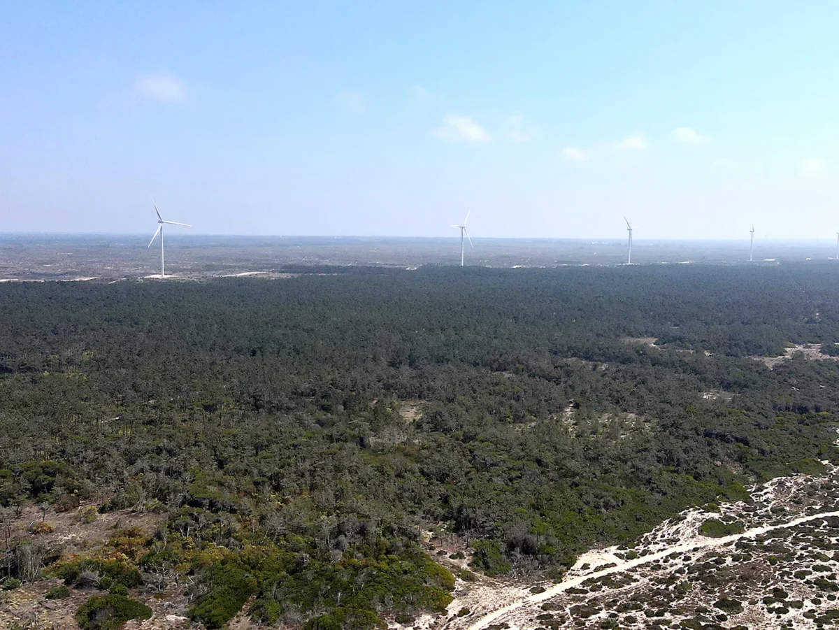 P16plano Ação Climática T