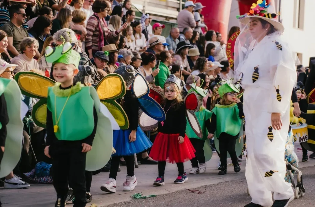 Carnaval Palmo E Meio3