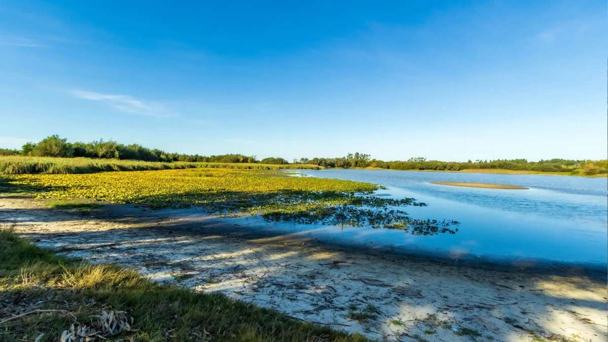 Lagoa Vela