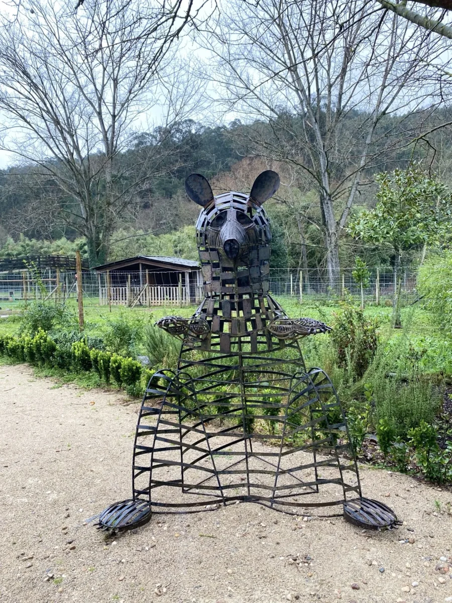 Arte E Solidariedade Cerci De Penela Oferece Urso De Ferro Ao Parque Biológico Da Serra Da Lousã 1