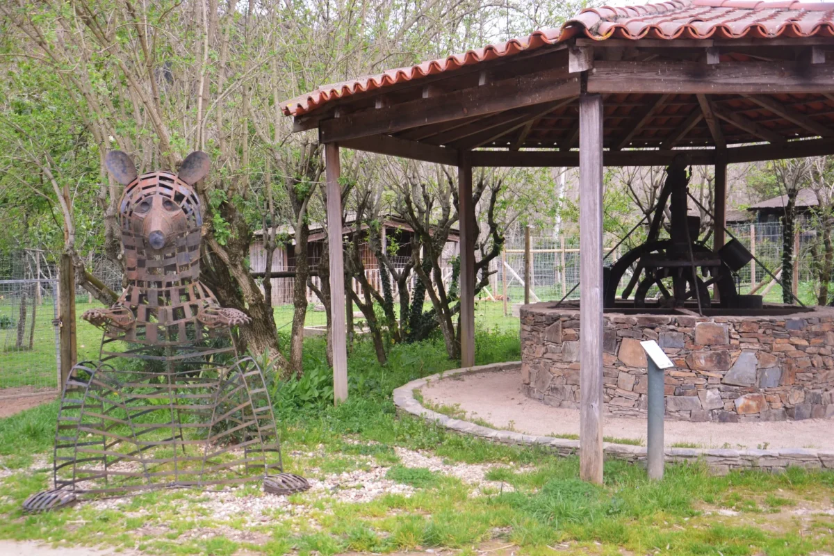 Arte E Solidariedade Cerci De Penela Oferece Urso De Ferro Ao Parque Biológico Da Serra Da Lousã 2