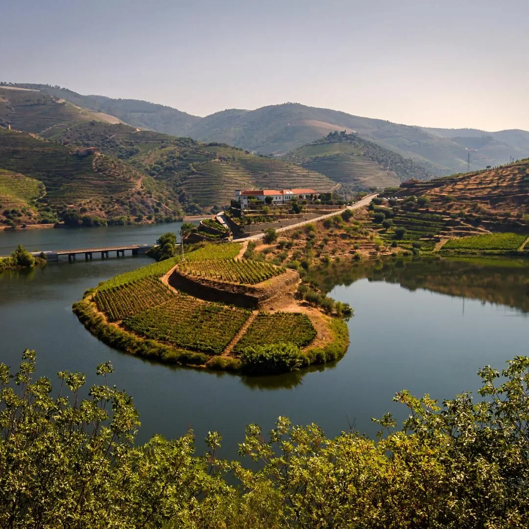 Douro Douro Criativo