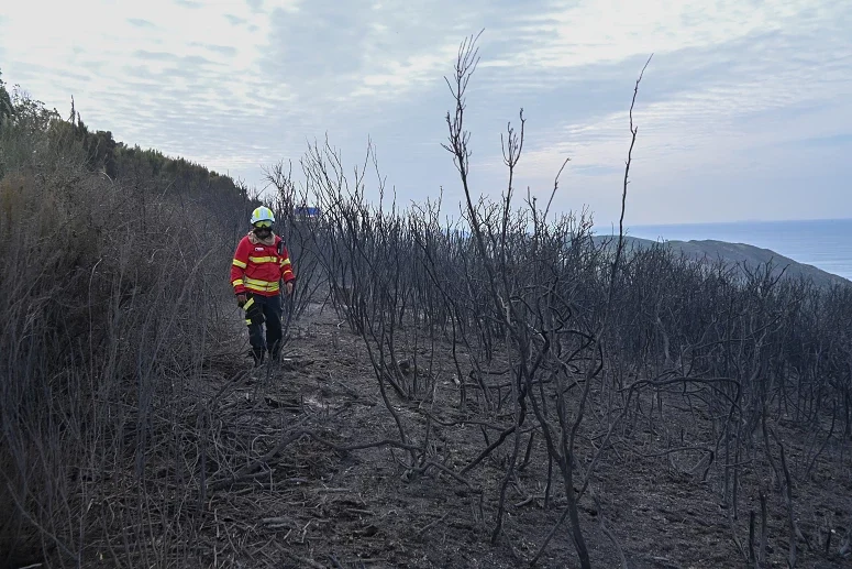 Incendios 2024