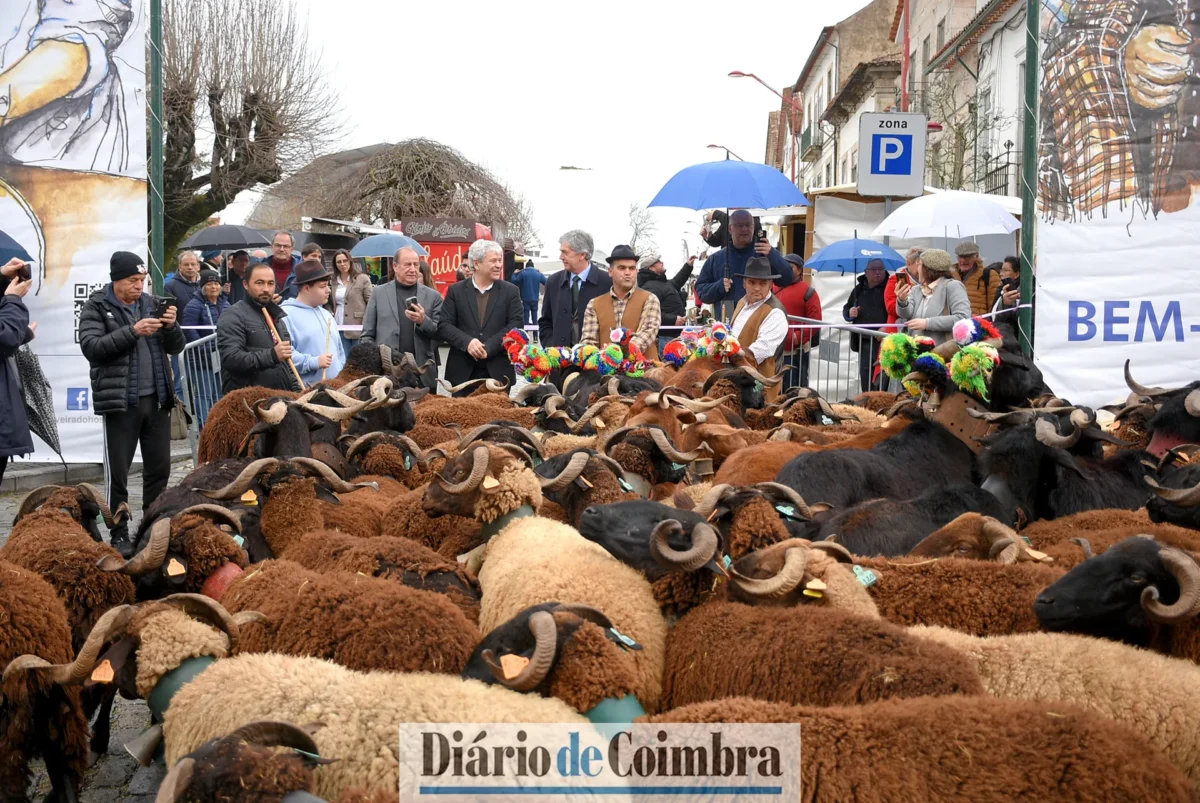 Feira Do Queijo 38 T